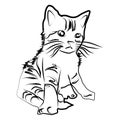 Sketch shape Cat Scouts icon cartoon design illustration nature seaside