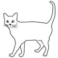 Sketch shape Cat Scouts icon cartoon design illustration nature seaside