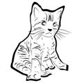 Sketch shape Cat Scouts icon cartoon design illustration nature seaside