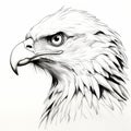 Photorealistic Eagle Head Ink Drawing Sketch - Detailed Character Design Royalty Free Stock Photo
