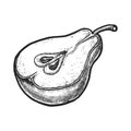 Sketch of sliced pear or half of fruit. Vector Royalty Free Stock Photo