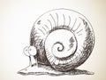 Sketch of snail Royalty Free Stock Photo