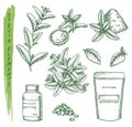 Sketch of stevia plant and pills, scoop and pack Royalty Free Stock Photo