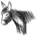 Sketch of a stilyzed donkey isolated Royalty Free Stock Photo