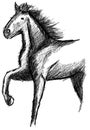 Sketch of a stilyzed Horse isolated