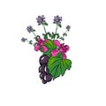 Sketch style digital drawing composition of lingonberry with black currant and fireweed flowers