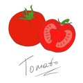 Sketch style drawing of red tomato, vector illustration isolated on white background. Appetizing bright red tomato, hand drawn ill