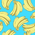 Sketch tasty bananas in vintage style