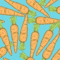 Sketch tasty carrot in vintage style