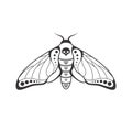 Sketch tattoo of outline insect. Isolated linear vector illustration of butterfly with a skull on a white background. Moth image