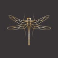 Sketch tattoo of outline insect. Isolated linear vector illustration of dragonfly on a black background Royalty Free Stock Photo