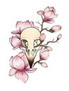 Sketch for tattoo skull with flowers contour in the style of graphics Royalty Free Stock Photo