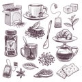 Sketch tea. Hand drawn tea leaves, mugs and kettle. Dried herbs, jam and lemon objects for tea time afternoon banner Royalty Free Stock Photo