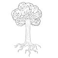 Sketch, tree with apples and roots, coloring, isolated object on white background, vector illustration Royalty Free Stock Photo