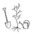 Sketch tree planting