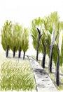 Sketch of trees and park trail with colored pencils.