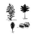 Sketch trees, set of hands drawn silhouette trees, vector illustration isolated on white background. Royalty Free Stock Photo