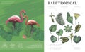 Sketch Tropical Bali Concept