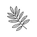 Sketch tropical red ginger leaf in line art style. Doodle outline jungle plant Royalty Free Stock Photo
