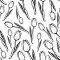 Sketch tulips, vintage seamless pattern Royalty Free Stock Photo