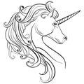 Sketch Unicorn, hand drawn ink Unicorn horse