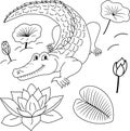 Sketch of vector alligator, flowers, lily, leaves. Illustration of a crocodile in the swamp for children\'s coloring Royalty Free Stock Photo