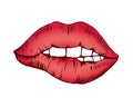 Sketch vector drawing, bright red bit lip