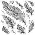 Sketch Vector Feather Set Royalty Free Stock Photo