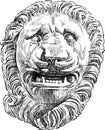Sketch of vintage architectural detail in shape of growling lion head on wall old building