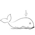 Sketch whale releases water, coloring book, caricature, isolated object on white background, vector Royalty Free Stock Photo