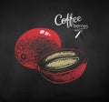 Sketch of whole and half cut coffee berry Royalty Free Stock Photo