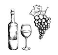 Sketch of wine bottle, glass and grapes Royalty Free Stock Photo