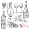 Sketch wine vector elements - bottles, glasses, grapes and jug Royalty Free Stock Photo