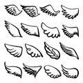 Sketch wings. Hand drawn wing angel or bird, drawing celtic doodle logo. Dove eagle winged elements, simple grunge