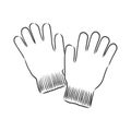 Sketch of winter gloves, vector illustration isoltaed on white background, pair of gloves, gloves, vector sketch illustration