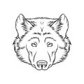 Sketch of wolfs head, portrait of forest animal black and white hand drawn vector Illustration Royalty Free Stock Photo