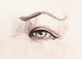 Sketch of woman eye with eyebrow, drawing on abstract background.