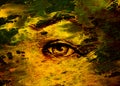 Sketch of woman eye with eyebrow, drawing on abstract background.