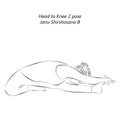 Sketch of yoga pose Janu Shirshasana B.