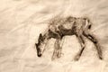 Sketch of a Young Buck Deer Walking Across the Open Field Royalty Free Stock Photo