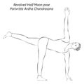 Sketch of Revolved Half Moon. Ardha Chandrasana Royalty Free Stock Photo