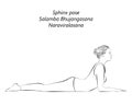 Sketch of Salamba Bhujangasana.