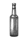 Sketched beer bottle illustration. Vector sketch of the popular alcoholic glass bottle isolated on white background. Vintage