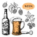 Sketched beer collection with glass, bottle and hop vector set