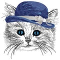 Sketched cat with blue hat and ribbon