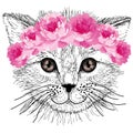 Sketched cat with pink rose flowers in hair