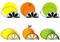 Sketched Citrus Fruits