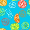 Sketched citrus fruits