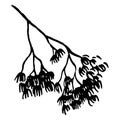 Sketched monochrome branch silhouette line art vector isolated