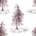 Sketched spruce pine tree sepia seamless pattern background